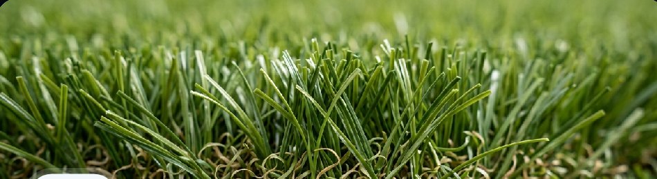 Close-up of premium artificial turf blades